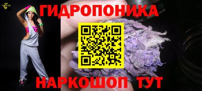 кокс Краснодар